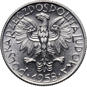 PRL, 5 złotych 1958, Rybak, szeroka cyfra 8 w dacie Bałwanek