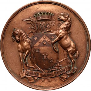 Rosja, Mikołaj II, medal z 1895 roku dla I.I. Vorontsova-Dashkova, Imperialne Sankt Petersburgskie Towarzystwo Koni Kłusowych