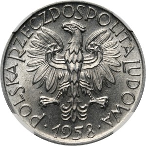 PRL, 5 złotych 1958, Rybak, wąska cyfra 8, Słoneczko