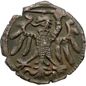 Zygmunt I Stary, denar bez daty, Elbląg