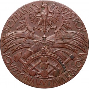 II RP, medal z 1929 roku, Powszechna Wystawa Krajowa w Poznaniu