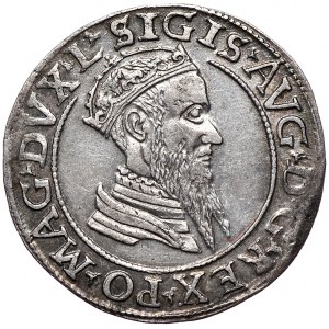 Zygmunt II August, czworak 1568, Wilno, L/LITV
