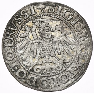 Zygmunt I Stary, grosz 1540, Elbląg
