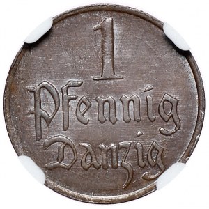 1 fenig 1923