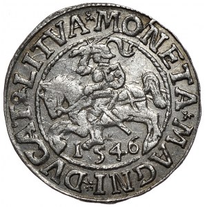 Zygmunt II August, półgrosz 1546, Wilno, LI/LITVA