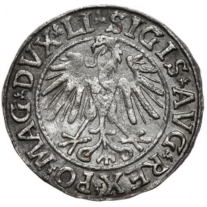 Zygmunt II August, półgrosz 1546, Wilno, LI/LITVA