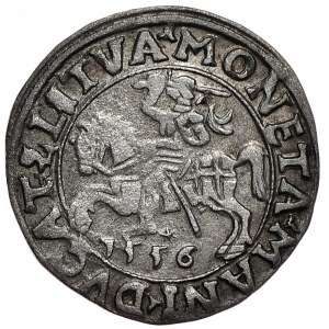 Zygmunt II August, półgrosz 1556, Wilno, LI/LITVA, błąd MANI