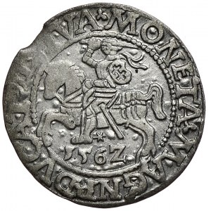 Zygmunt II August, półgrosz 1562, Wilno, L/LITVA