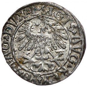 Zygmunt II August, półgrosz 1558, Wilno, L/LITV, małe cyfry daty