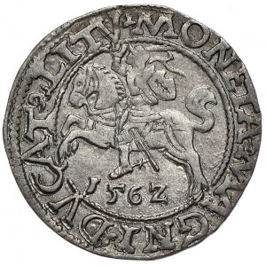 Zygmunt II August, półgrosz 1562, Wilno, L/LITV, duża Pogoń