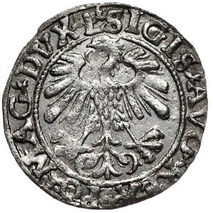 Zygmunt II August, półgrosz 1559, Wilno, L/LITVΛ, otwarte Λ, MONETΛ MΛGNI DVCΛT