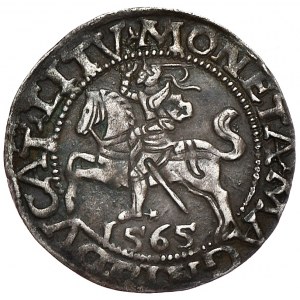 Zygmunt II August, półgrosz 1565, Wilno, L/LITV