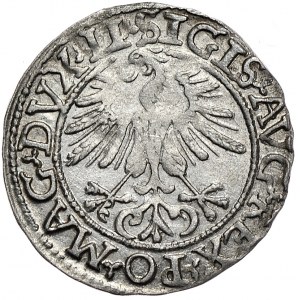 Zygmunt II August, półgrosz 1561, Wilno, LI/LITV, duże cyfry daty