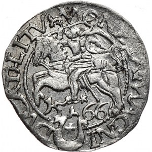 Zygmunt II August, półgrosz 1566, Tykocin, L/LITV, duży herb Jastrzębiec