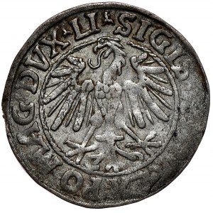 Zygmunt II August, półgrosz 1547, Wilno, LI/LITVA, bardzo rzadki