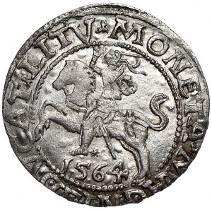 Zygmunt II August, półgrosz 1564, Wilno, L/LITV,