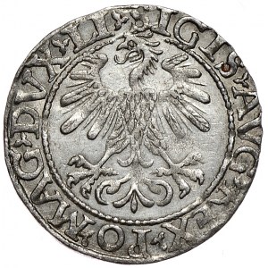 Zygmunt II August, półgrosz 1560, Wilno, LI/LITV