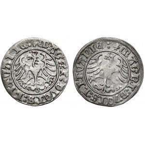 Zygmunt I Stary, półgrosz 1509 i 1510, Wilno, razem 2 szt.