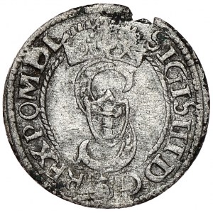 Zygmunt III Waza, szeląg 1594, Olkusz, rzadkość