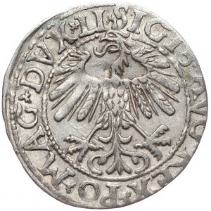 Zygmunt II August, półgrosz 1558, Wilno, LI/LITVA, mała data.