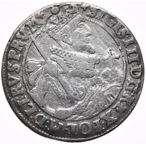Zygmunt III Waza, ort 1623, Bydgoszcz, PRV:M+, ozdoby spirale
