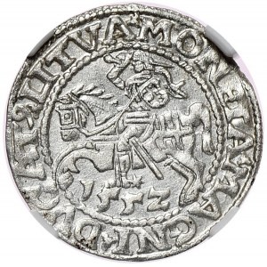 Zygmunt II August, półgrosz 1552, Wilno