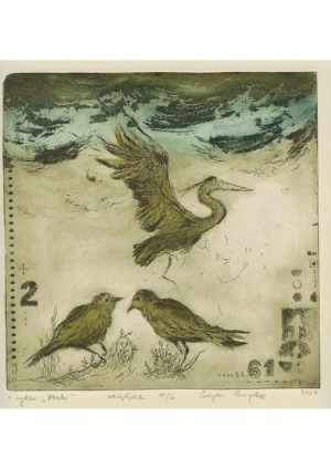 Edyta Purzycka, z cyklu Ptaki, 2007