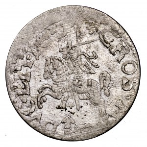 Zygmunt III Waza, grosz 1607, Wilno - popiersie
