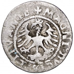 Zygmunt I Stary, półgrosz 1523, Wilno - rzadszy