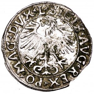 Zygmunt II August, półgrosz 1556, Wilno - L/LITVA