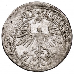 Zygmunt II August, półgrosz 1564, Wilno - LI/LITVA