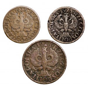 II Rzeczpospolita, zestaw 3 monet groszowych