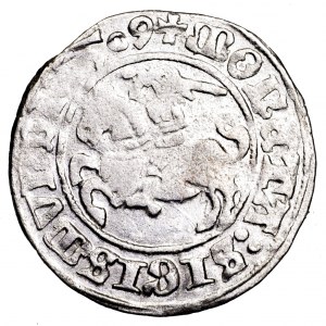 Zygmunt I Stary, półgrosz 1509, Wilno - wczesny, rzadszy