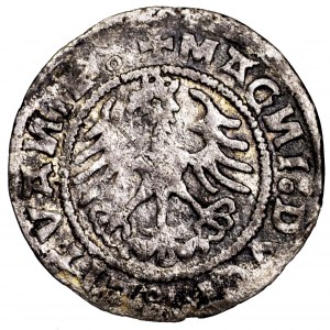 Zygmunt I Stary, półgrosz 1520, Wilno - 520, rzadki