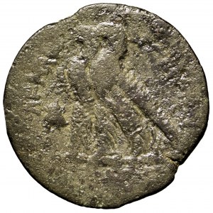 Egipt, Ptolemeusz VI, obol 170-164 p.n.e.