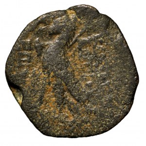 Syria, Antioch VIII, brąz 121-96 p.n.e.