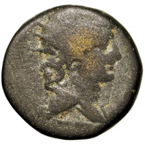 Syria, Leodikeia, Antioch III, brąz 223-186 p.n.e.