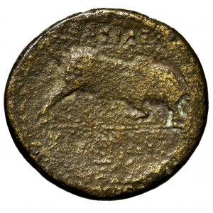 Syria, Seleukos I Nikator, brąz 312-280 p.n.e.