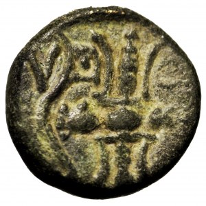 Grecja, Pizydia, Selge, brąz II-I w. p.n.e.