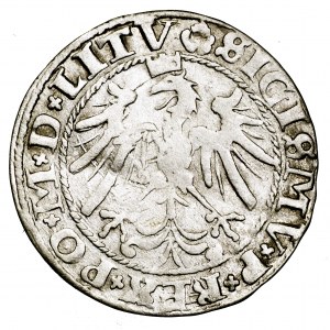 Zygmunt I Stary, grosz 1536, Wilno - styczeń, litera I