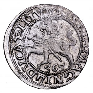 Zygmunt II August, półgrosz 1565, Wilno - L/LITV
