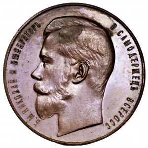 Rosja, Mikołaj II, medal nagrodowy z wystawy w St. Petersburgu 1903 - piękny