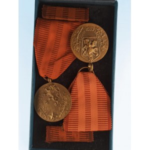 ČSR / AE medaile Za službu vlasti, starý a nový znak, 2 ks
