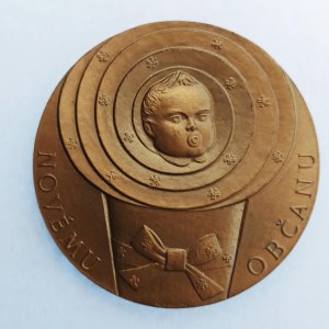 ČSSR / AE medaile Pamětní medaile novému občanu bez letopočtu, etue, BR,