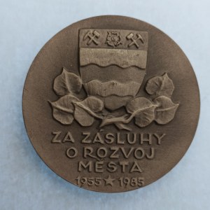ČSSR / AE pamětní medaile k 30. výročí založení města Havířova, 90 g, 60 mm, etue, postř. BR...