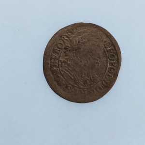 Leopold I. [1657 - 1705] / Poltura 1695, Ag,