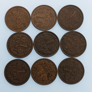 Holandsko / 1 Cent 1915, 17, 19, 20, 21, 22, 29, 37, 38, Cu, 9 ks