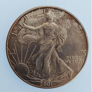 USA / 1 Dollar - American Eagle 1 Oz 2001, patina, Ag,