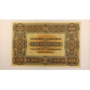 Maďarsko / 1.000 Korona 1.1.1920,