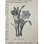 [Półskórek] Betten Robert, Praktyczna hodowla kwiatów